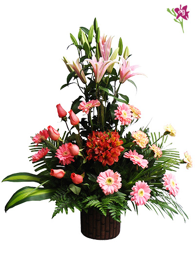 Lilium, Gerberas y Rosas - Delizabeth Florería | Somos la Mejor Floreria en  Los Olivos - Regalos en Los Olivos - Regalos en Lima Norte - Delizabeth  Floreria - Floreria en Los